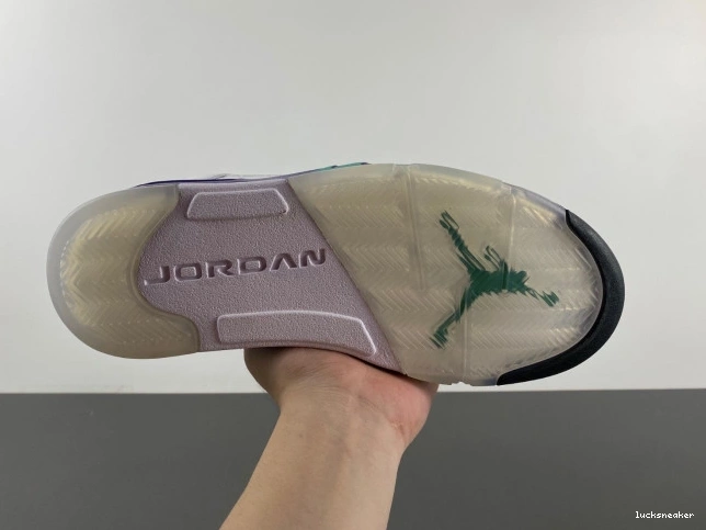 Rep LUCY (2013) Grape 5 Jordan Retro 136027-108 Air 0629